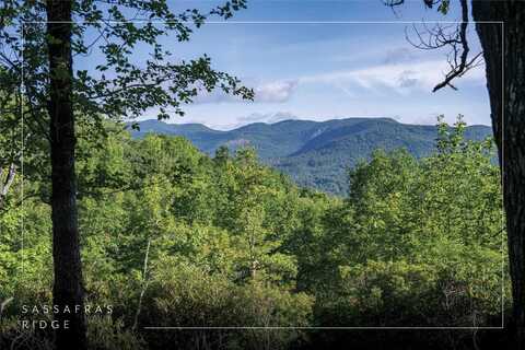 Tr 6 Long Way Road, Sapphire, NC 28774