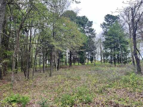 5392 Grandview Dr, Athens, TX 75752