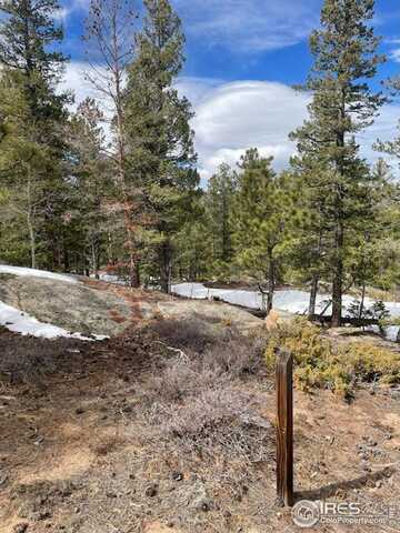 2684 Fox Acres Dr E, Red Feather Lakes, CO 80545