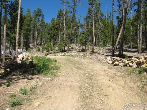 1244 Mosquito Dr, Red Feather Lakes, CO 80545