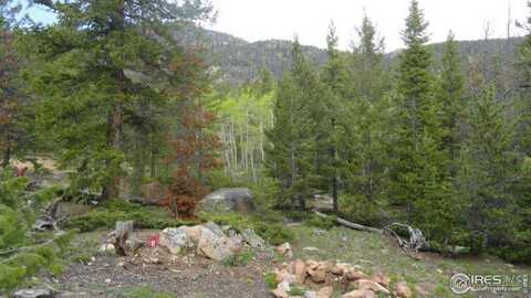 204 Sutiki Dr, Red Feather Lakes, CO 80545