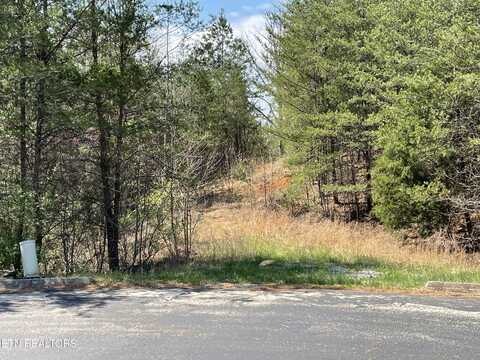 128 Copper Still Way, Madisonville, TN 37354