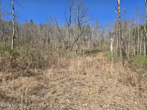 110 Braden Chapel Rd. Rd, Speedwell, TN 37870