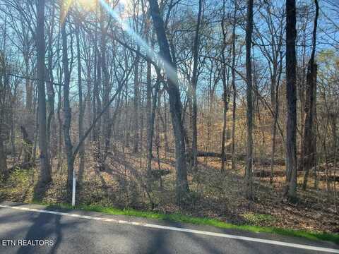 Lot 8 Highway 304, Decatur, TN 37322