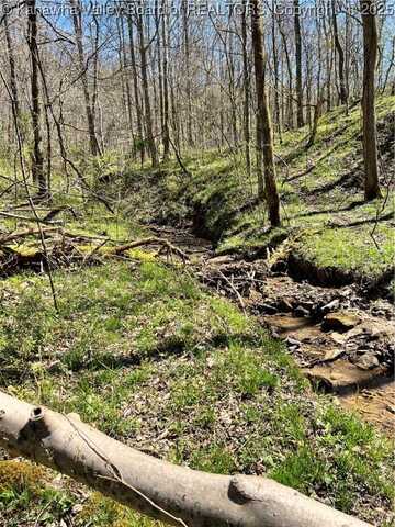 Tuppers Creek Road, Sissonville, WV 25312
