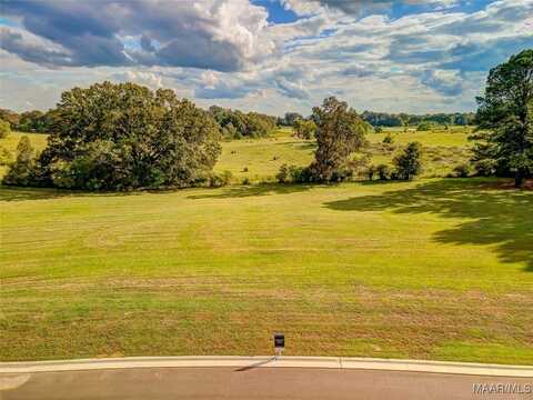 Hidden Oaks Avenue lot: 9, Pike Road, AL 36064