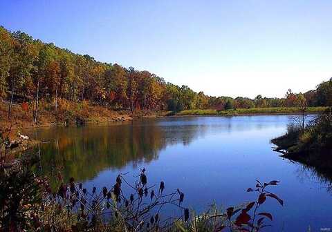 0 Off Wayne 349A, Piedmont, MO 63957