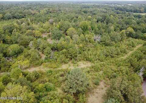 4 Robinson ''The Crossroads'' Road, Canton, MS 39046