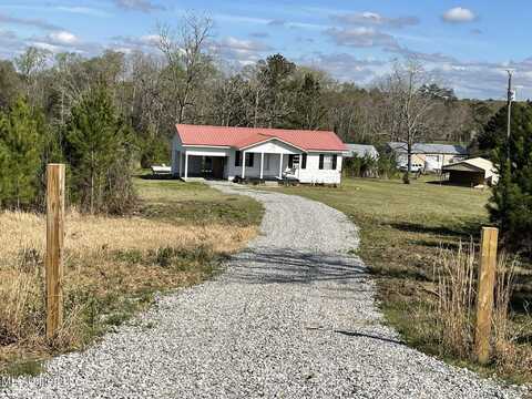 388 Delancey Road, Braxton, MS 39044