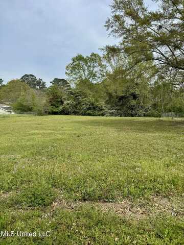Carmen Court, Wiggins, MS 39577