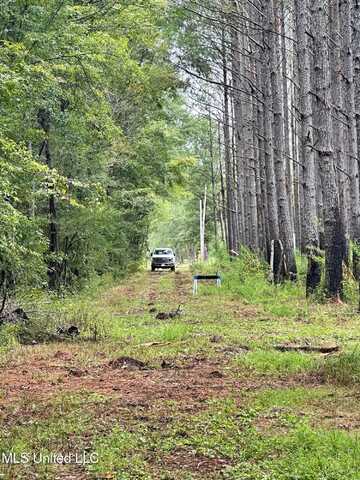 Lot A Swamp Road, Carthage, MS 39051