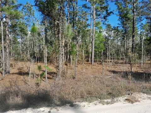 Tbd NE 150TH AVENUE, WILLISTON, FL 32696