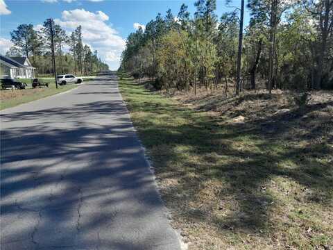 Tbd NE 150TH AVENUE, WILLISTON, FL 32696