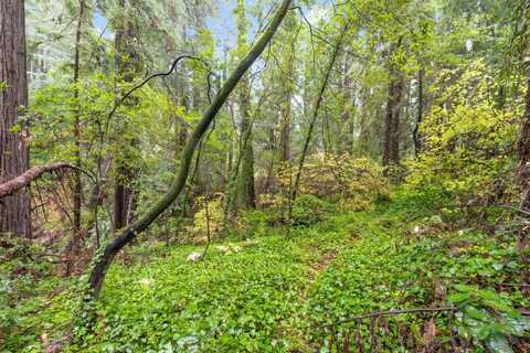 0 Highway 9, BOULDER CREEK, CA 95006