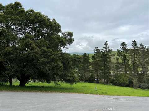 1830 Londonderry Lane, Cambria, CA 93428