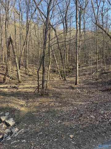 13 Sibert Drive, Glencoe, AL 35905