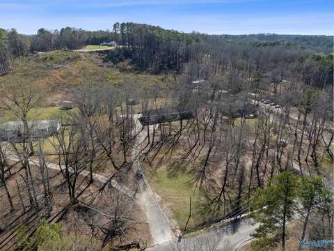 317 Austinville Flint Road SW, Decatur, AL 35603