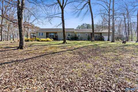 317 Austinville Flint Road SW, Decatur, AL 35603