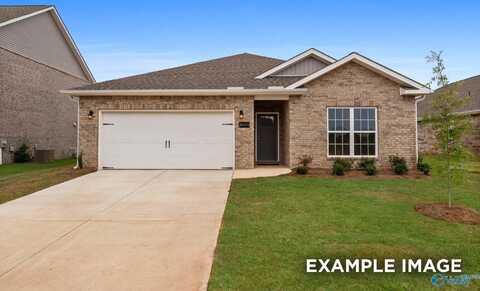 162 Fall Meadow Drive, Harvest, AL 35749