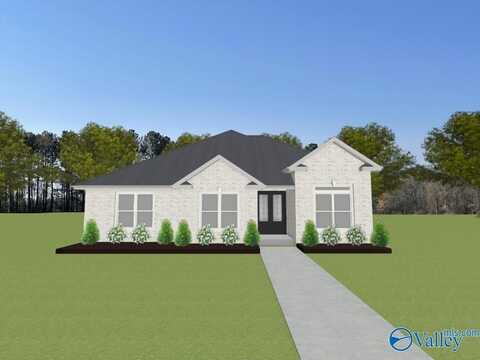 Kingston-a Narayan Street, Madison, AL 35756