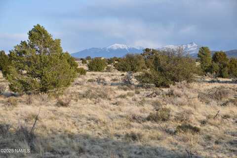 1607 E Stanford Avenue, Williams, AZ 86046
