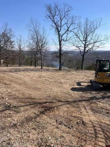 002-11252-009 PANTHER COVE DRIVE, Mountain Home, AR 72653