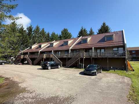 85 LOCHOA Drive, Davis, WV 26260