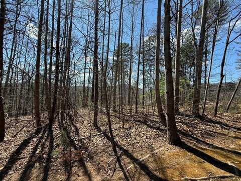 Lot 105 Lancelot Loop, Clayton, GA 30525