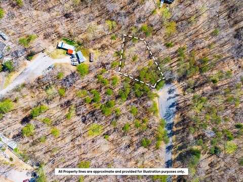 Cardinal Lane, Toccoa, GA 30577