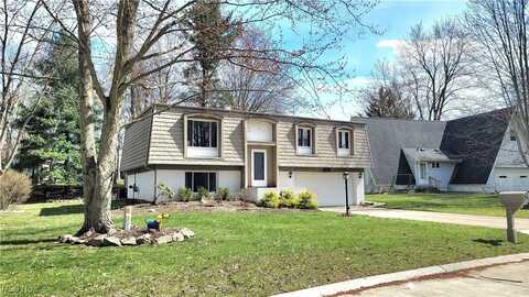 10253 Smugglers Cove, Aurora, OH 44202