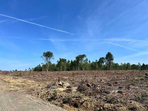 Lot 2-6 Merrill Road, Levant, ME 04456