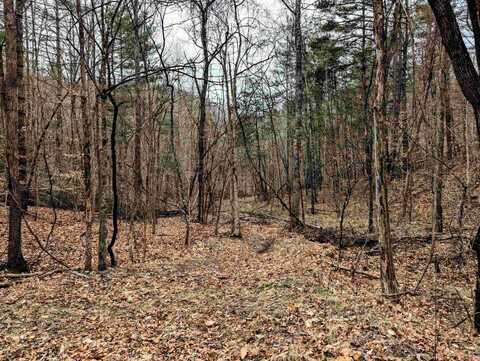 TBD Yates Road, Shawsville, VA 24162