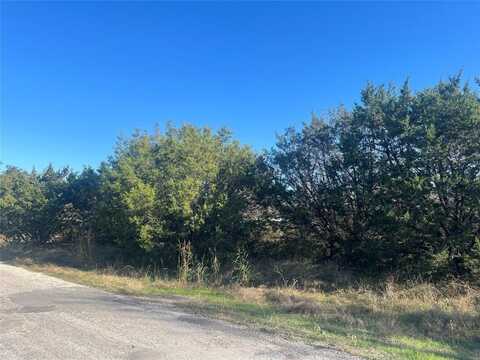 2921 BLACKJACK Lane, Granbury, TX 76048