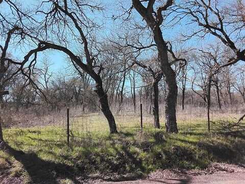 411 Novy Road, Ennis, TX 75119
