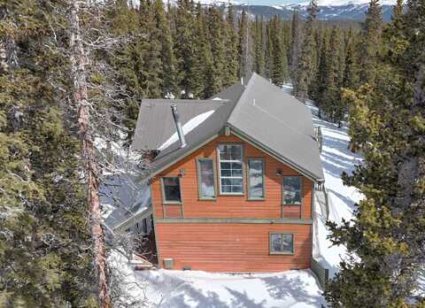 1561 Prunes Place, Fairplay, CO 80440