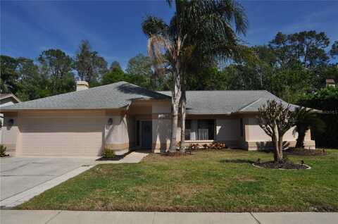 3189 ROXMERE DRIVE, PALM HARBOR, FL 34685