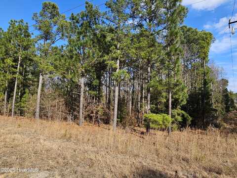 3675 Niagara Carthage Road, Carthage, NC 28327