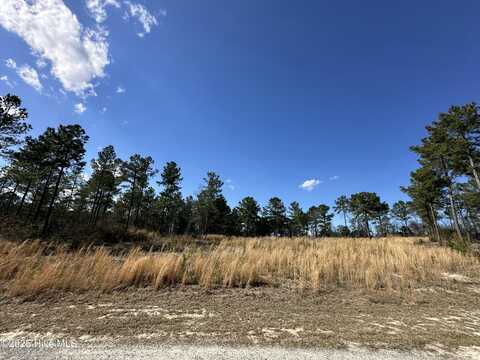 565 Susie Circle, Cameron, NC 28326