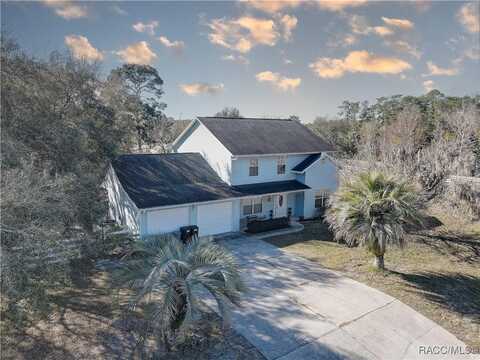 6658 W Woodlynn Lane, Homosassa, FL 34448