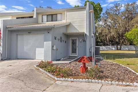 9767 E Goldfinch Lane, Inverness, FL 34450