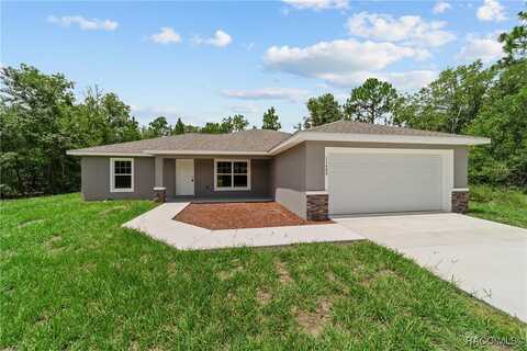 11400 N Terra Cotta Drive, Citrus Springs, FL 34434