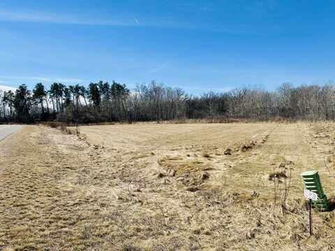 Lot 21 21st Street, Rice Lake, WI 54868