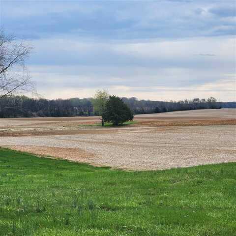 0 Neosheo Prices Mill Road, Franklin, KY 42134
