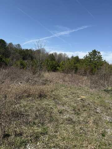 Amhurst Pl S, Englewood, TN 37329