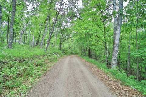 Tbd Timber Ridge Drive, Baxter, MN 56425