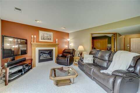 217 Pendryn Hill Alcove, Woodbury, MN 55125