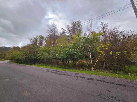 Tbd Deer Ridge Trail, Tazewell, VA 24651