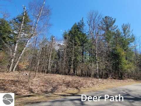 3 Deer Path, Bellaire, MI 49615
