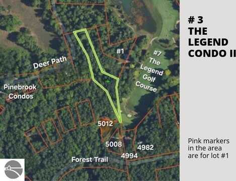 3 Deer Path, Bellaire, MI 49615