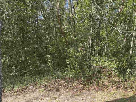 James Duhard Way, Tallahassee, FL 32308